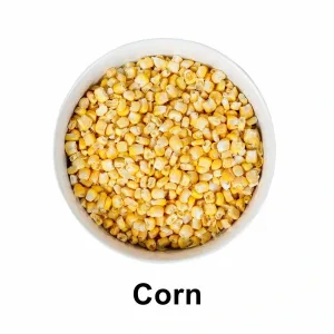 readywise noodrantsoen groenten 120 dagen 9