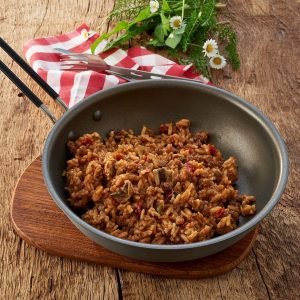 trekn eat rundvlees stroganoff met rijst 2